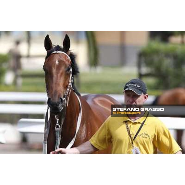 Obade before winning the Premio Lorenzo Camuffo Rome, Capannelle racecourse 13th april 2014 ph.Stefano Grasso