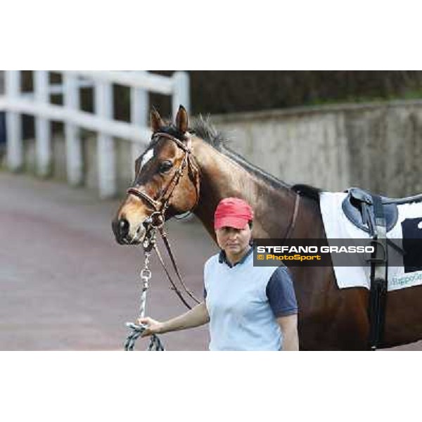 Saint Bernard Rome, Capannelle racecourse 13th april 2014 ph.Stefano Grasso