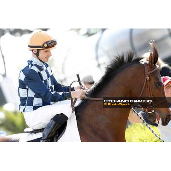 Gabriele Bietolini on Saint Bernard Rome, Capannelle racecourse 13th april 2014 ph.Stefano Grasso