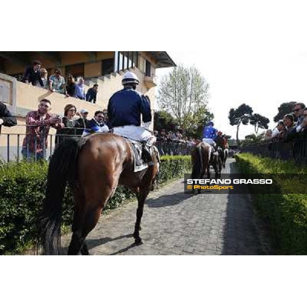 Dario Vargiu on Regarde Moi after winning the Premio Natale di Roma Rome, Capannelle racecourse 13th april 2014 ph.Stefano Grasso