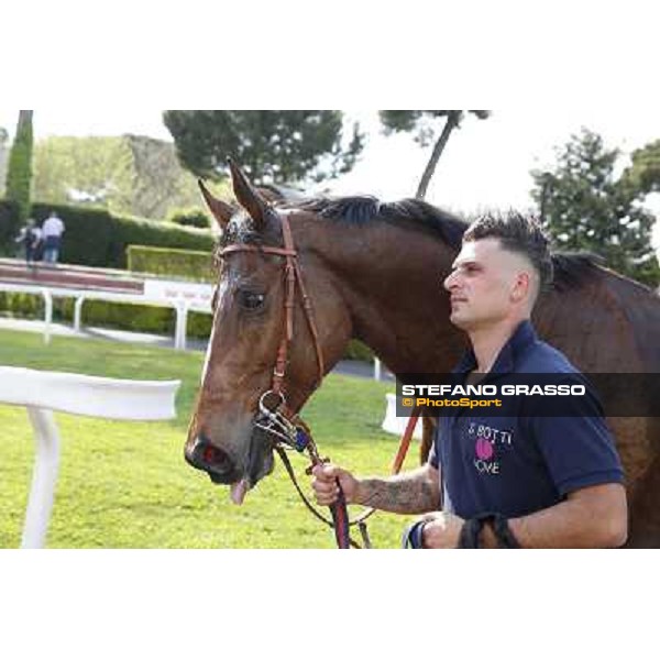Regarde Moi and his groom winners of the Premio Natale di Roma Rome, Capannelle racecourse 13th april 2014 ph.Stefano Grasso
