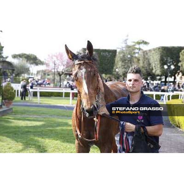 Regarde Moi and his groom winners of the Premio Natale di Roma Rome, Capannelle racecourse 13th april 2014 ph.Stefano Grasso