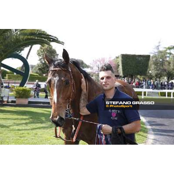 Regarde Moi and his groom winners of the Premio Natale di Roma Rome, Capannelle racecourse 13th april 2014 ph.Stefano Grasso
