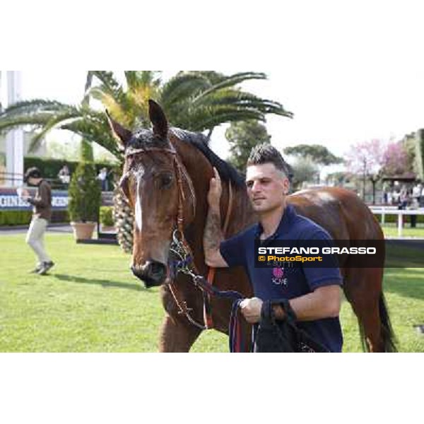 Regarde Moi and his groom winners of the Premio Natale di Roma Rome, Capannelle racecourse 13th april 2014 ph.Stefano Grasso