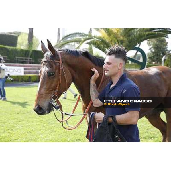 Regarde Moi and his groom winners of the Premio Natale di Roma Rome, Capannelle racecourse 13th april 2014 ph.Stefano Grasso