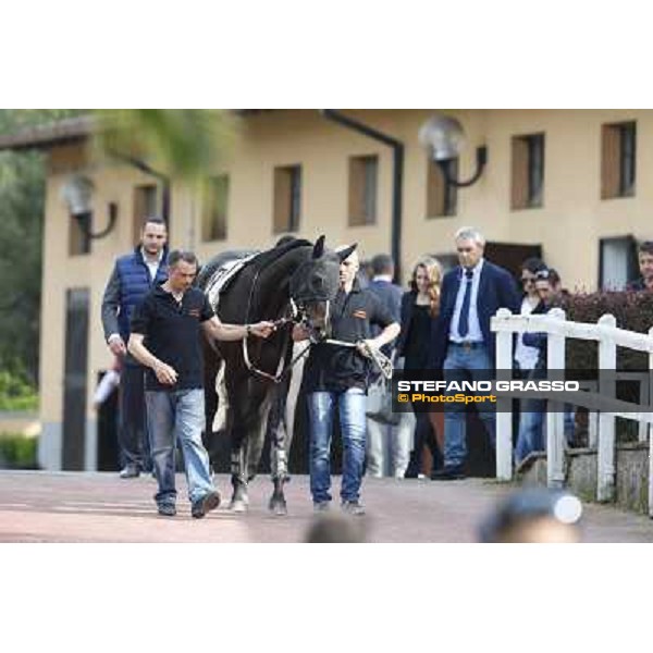 Omaticaya Rome, Capannelle racecourse 13th april 2014 ph.Stefano Grasso