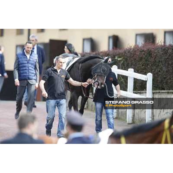 Omaticaya Rome, Capannelle racecourse 13th april 2014 ph.Stefano Grasso