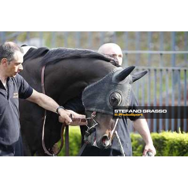 Omaticaya Rome, Capannelle racecourse 13th april 2014 ph.Stefano Grasso