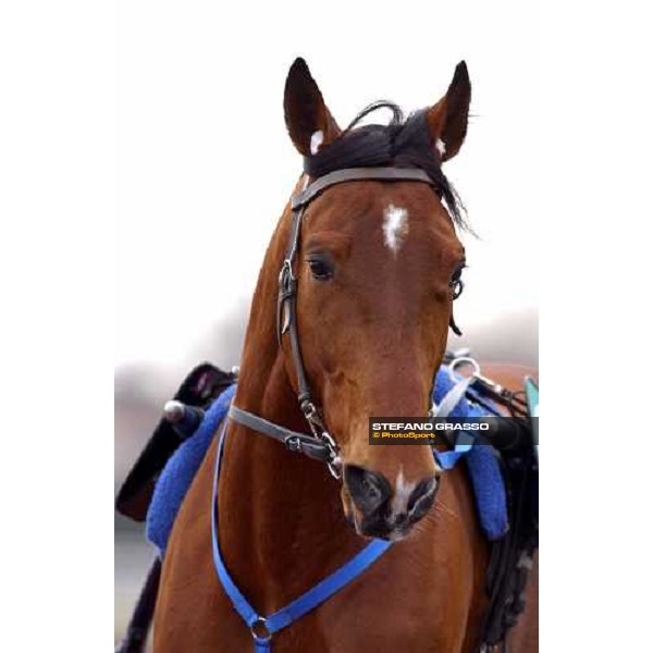 close up for Kesaco Phedo Criterium de Vitesse Cagnes sur Mer march 14 2004 ph.Stefano Grasso