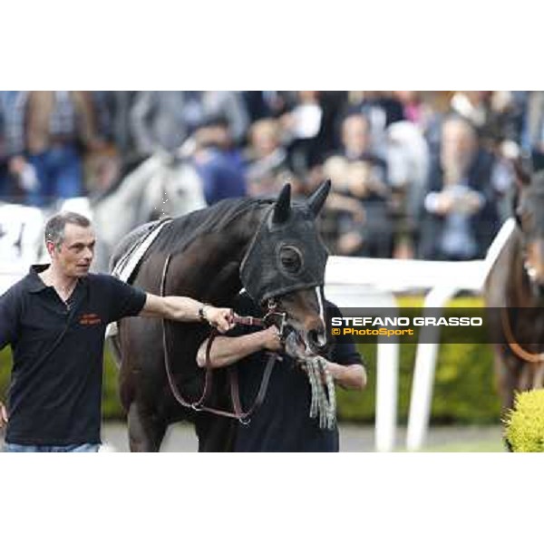 Omaticaya Rome, Capannelle racecourse 13th april 2014 ph.Stefano Grasso