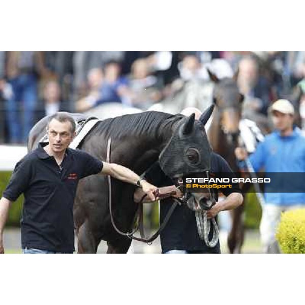 Omaticaya Rome, Capannelle racecourse 13th april 2014 ph.Stefano Grasso