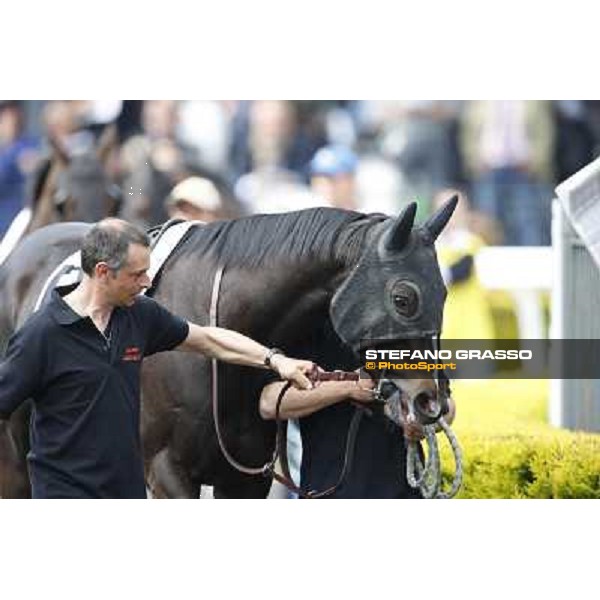 Omaticaya Rome, Capannelle racecourse 13th april 2014 ph.Stefano Grasso