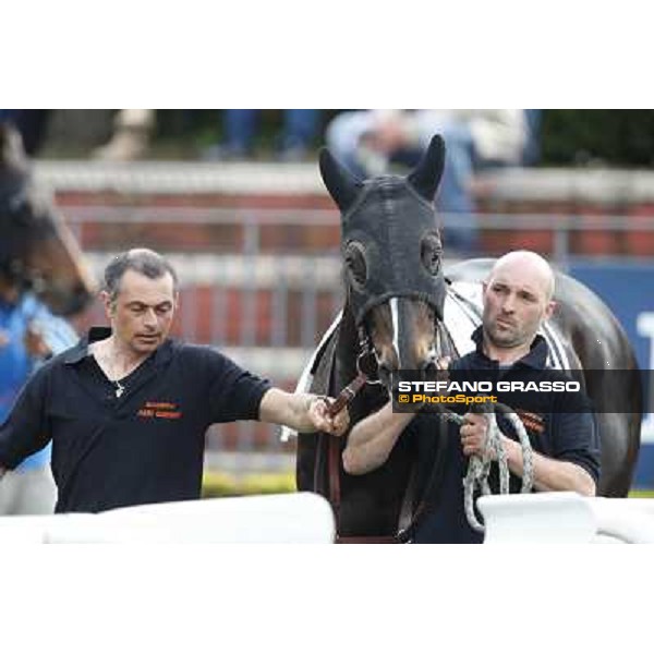 Omaticaya Rome, Capannelle racecourse 13th april 2014 ph.Stefano Grasso