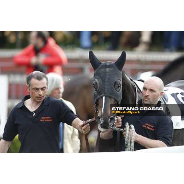 Omaticaya Rome, Capannelle racecourse 13th april 2014 ph.Stefano Grasso