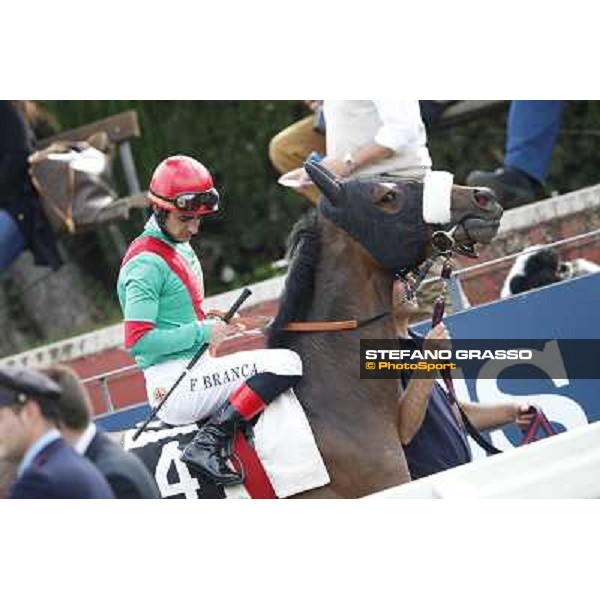 Fabio Branca on Girl of the Rain Rome, Capannelle racecourse 13th april 2014 ph.Stefano Grasso