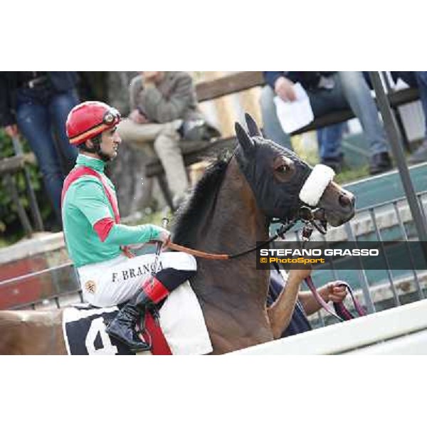 Fabio Branca on Girl of the Rain Rome, Capannelle racecourse 13th april 2014 ph.Stefano Grasso