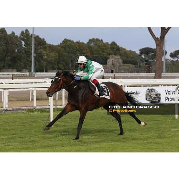 Carlo Fiocchi on Preston wins the Premio UNPCPS Rome, Capannelle racecourse 13th april 2014 ph.Domenico Savi/Grasso