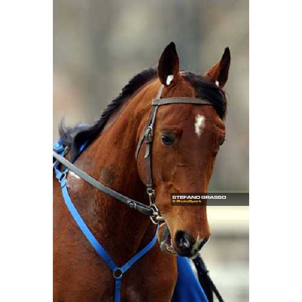 close up for Kesaco Phedo Criterium de Vitesse Cagnes sur Mer march 14 2004 ph.Stefano Grasso