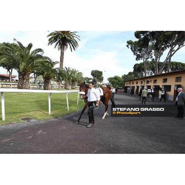 Djordje Perovic on Refuse to Bobbin wins the Premio Presidente della Repubblica GBI Racing Rome, Capannelle racecourse,11th may 2014 photo Stefano Grasso