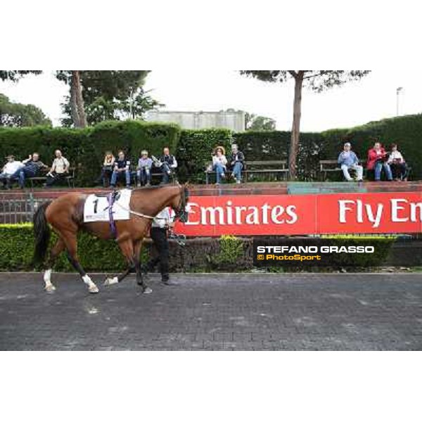 Djordje Perovic on Refuse to Bobbin wins the Premio Presidente della Repubblica GBI Racing Rome, Capannelle racecourse,11th may 2014 photo Stefano Grasso