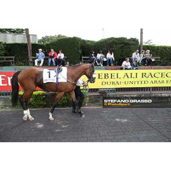Djordje Perovic on Refuse to Bobbin wins the Premio Presidente della Repubblica GBI Racing Rome, Capannelle racecourse,11th may 2014 photo Stefano Grasso