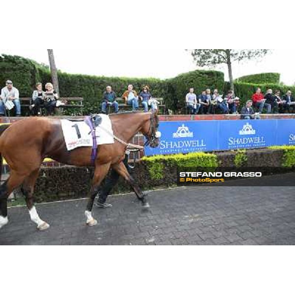 Djordje Perovic on Refuse to Bobbin wins the Premio Presidente della Repubblica GBI Racing Rome, Capannelle racecourse,11th may 2014 photo Stefano Grasso