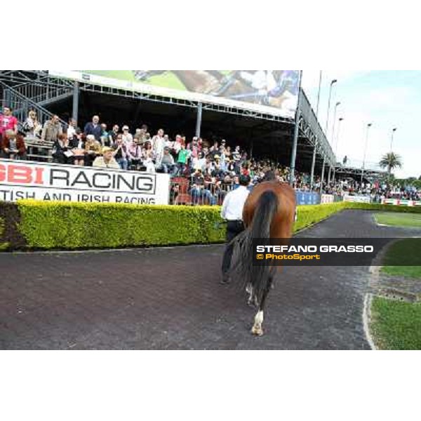 Djordje Perovic on Refuse to Bobbin wins the Premio Presidente della Repubblica GBI Racing Rome, Capannelle racecourse,11th may 2014 photo Stefano Grasso