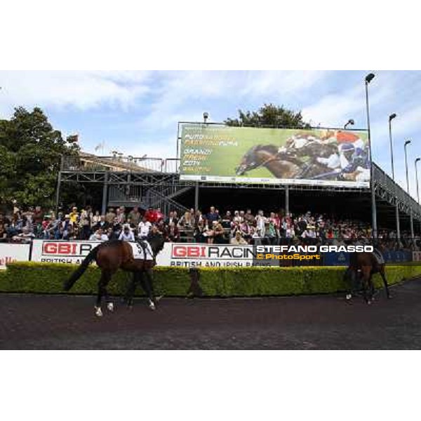 Djordje Perovic on Refuse to Bobbin wins the Premio Presidente della Repubblica GBI Racing Rome, Capannelle racecourse,11th may 2014 photo Stefano Grasso
