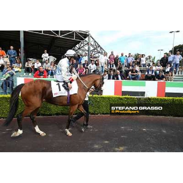 Djordje Perovic on Refuse to Bobbin wins the Premio Presidente della Repubblica GBI Racing Rome, Capannelle racecourse,11th may 2014 photo Stefano Grasso