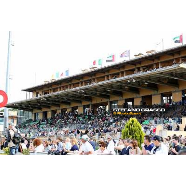 Djordje Perovic on Refuse to Bobbin wins the Premio Presidente della Repubblica GBI Racing Rome, Capannelle racecourse,11th may 2014 photo Stefano Grasso