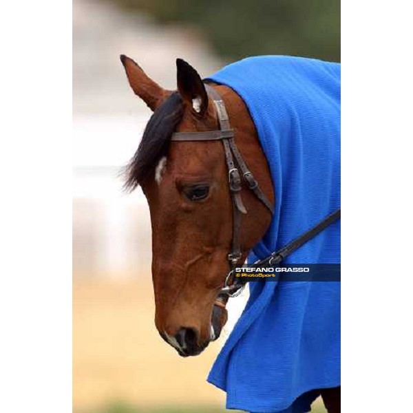 close up for Kesaco Phedo Criterium de Vitesse Cagnes sur Mer march 14 2004 ph.Stefano Grasso