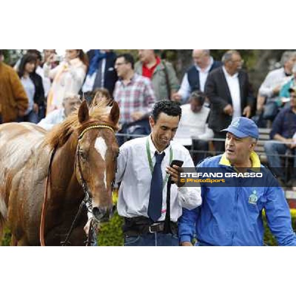 Djordje Perovic on Refuse to Bobbin wins the Premio Presidente della Repubblica GBI Racing Rome, Capannelle racecourse,11th may 2014 photo Stefano Grasso