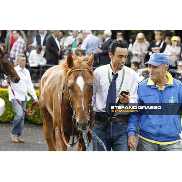 Djordje Perovic on Refuse to Bobbin wins the Premio Presidente della Repubblica GBI Racing Rome, Capannelle racecourse,11th may 2014 photo Stefano Grasso