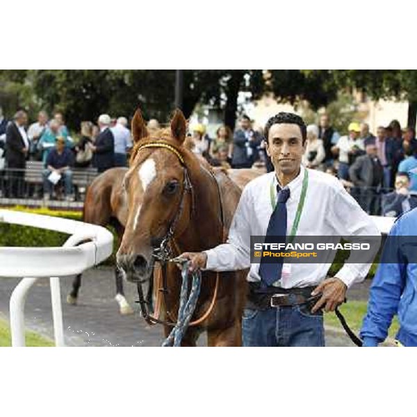 Djordje Perovic on Refuse to Bobbin wins the Premio Presidente della Repubblica GBI Racing Rome, Capannelle racecourse,11th may 2014 photo Stefano Grasso