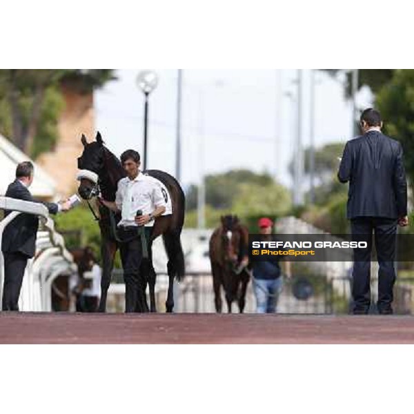 Djordje Perovic on Refuse to Bobbin wins the Premio Presidente della Repubblica GBI Racing Rome, Capannelle racecourse,11th may 2014 photo Stefano Grasso