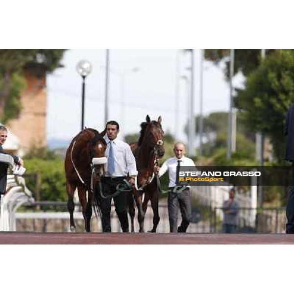 Djordje Perovic on Refuse to Bobbin wins the Premio Presidente della Repubblica GBI Racing Rome, Capannelle racecourse,11th may 2014 photo Stefano Grasso