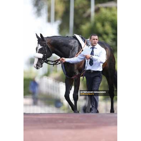 Djordje Perovic on Refuse to Bobbin wins the Premio Presidente della Repubblica GBI Racing Rome, Capannelle racecourse,11th may 2014 photo Stefano Grasso