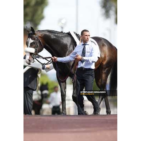 Djordje Perovic on Refuse to Bobbin wins the Premio Presidente della Repubblica GBI Racing Rome, Capannelle racecourse,11th may 2014 photo Stefano Grasso