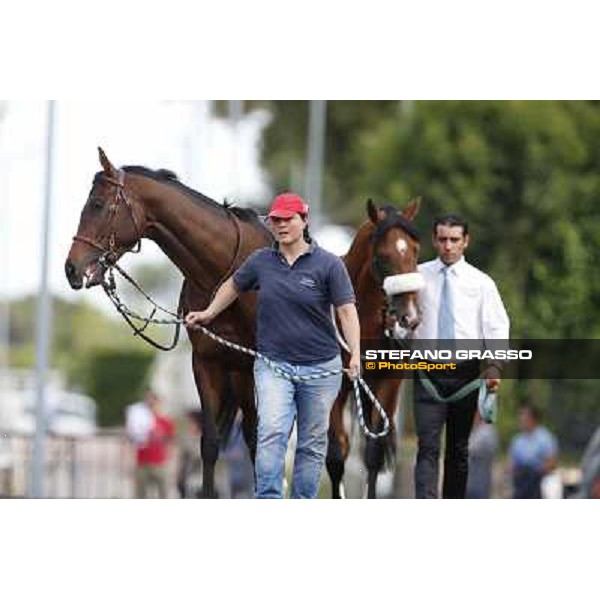 Djordje Perovic on Refuse to Bobbin wins the Premio Presidente della Repubblica GBI Racing Rome, Capannelle racecourse,11th may 2014 photo Stefano Grasso