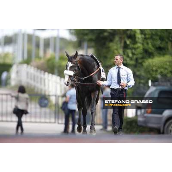 Djordje Perovic on Refuse to Bobbin wins the Premio Presidente della Repubblica GBI Racing Rome, Capannelle racecourse,11th may 2014 photo Stefano Grasso