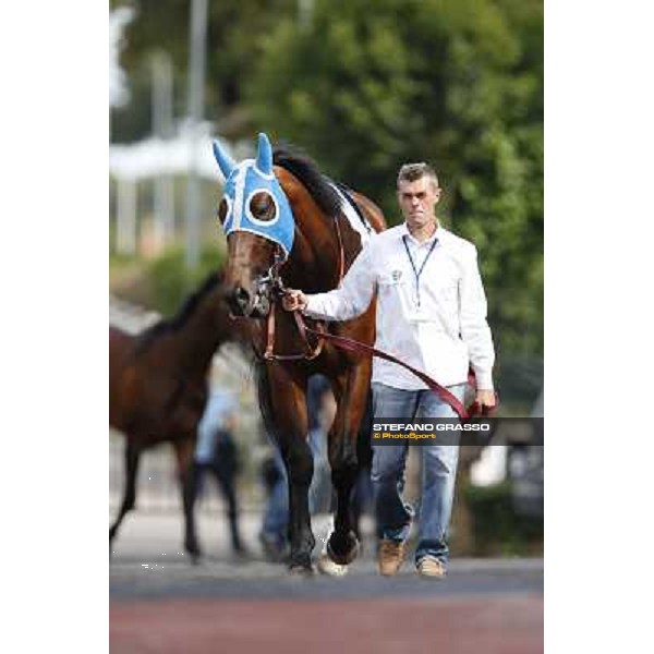 Djordje Perovic on Refuse to Bobbin wins the Premio Presidente della Repubblica GBI Racing Rome, Capannelle racecourse,11th may 2014 photo Stefano Grasso