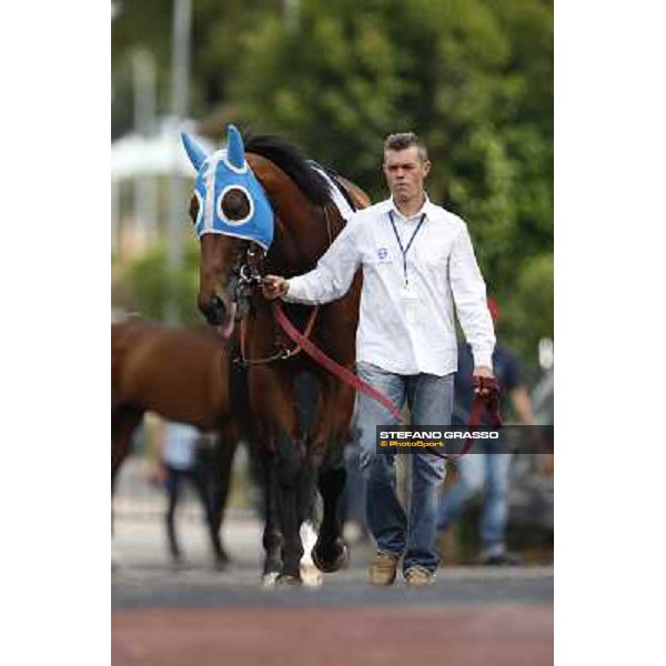 Djordje Perovic on Refuse to Bobbin wins the Premio Presidente della Repubblica GBI Racing Rome, Capannelle racecourse,11th may 2014 photo Stefano Grasso