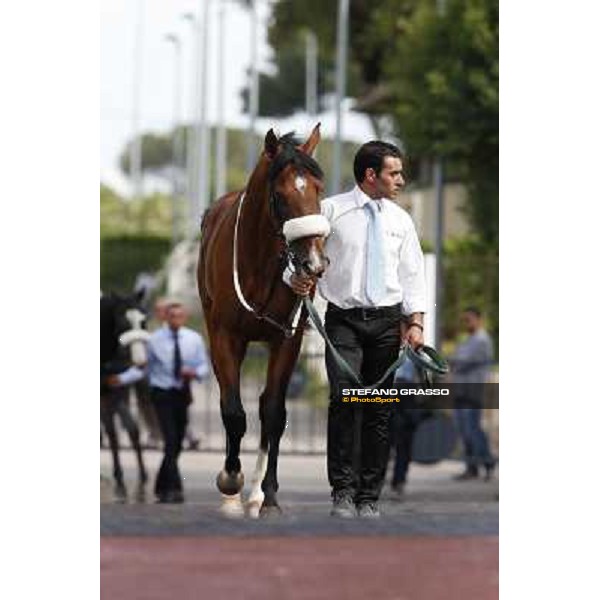 Djordje Perovic on Refuse to Bobbin wins the Premio Presidente della Repubblica GBI Racing Rome, Capannelle racecourse,11th may 2014 photo Stefano Grasso