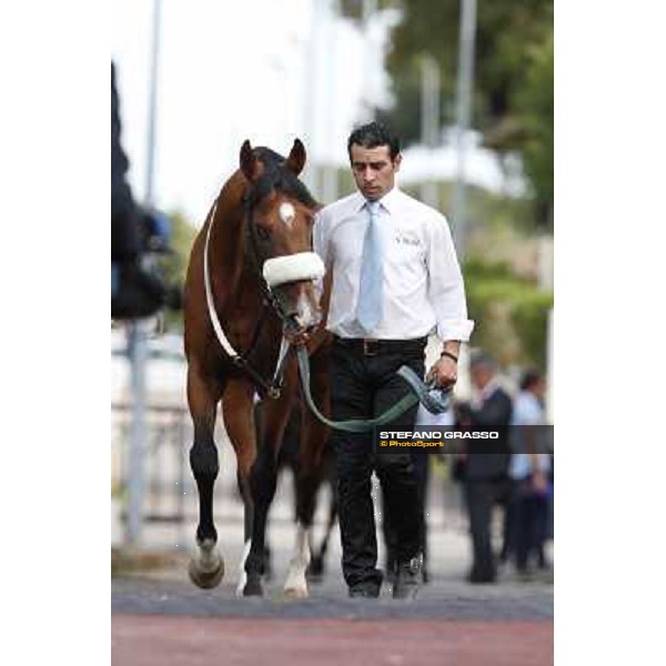 Djordje Perovic on Refuse to Bobbin wins the Premio Presidente della Repubblica GBI Racing Rome, Capannelle racecourse,11th may 2014 photo Stefano Grasso