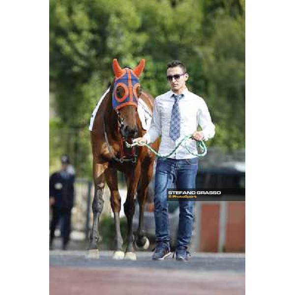 Djordje Perovic on Refuse to Bobbin wins the Premio Presidente della Repubblica GBI Racing Rome, Capannelle racecourse,11th may 2014 photo Stefano Grasso