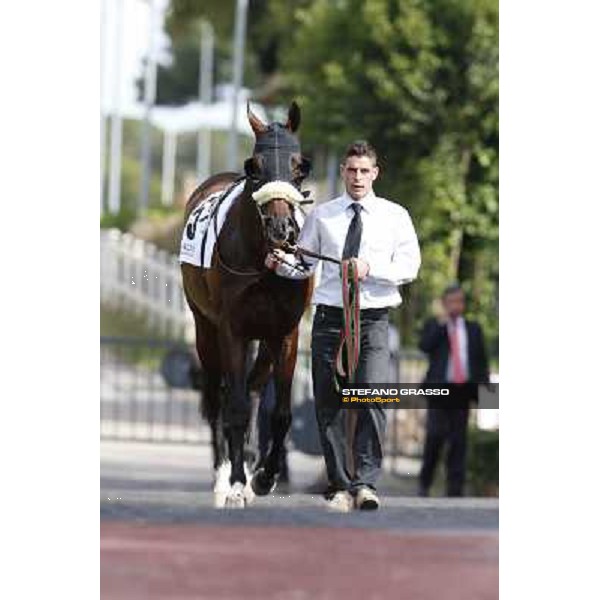 Djordje Perovic on Refuse to Bobbin wins the Premio Presidente della Repubblica GBI Racing Rome, Capannelle racecourse,11th may 2014 photo Stefano Grasso