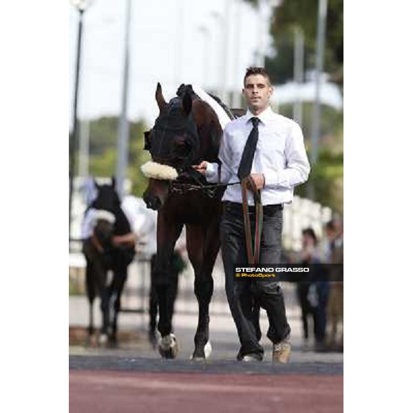 Djordje Perovic on Refuse to Bobbin wins the Premio Presidente della Repubblica GBI Racing Rome, Capannelle racecourse,11th may 2014 photo Stefano Grasso