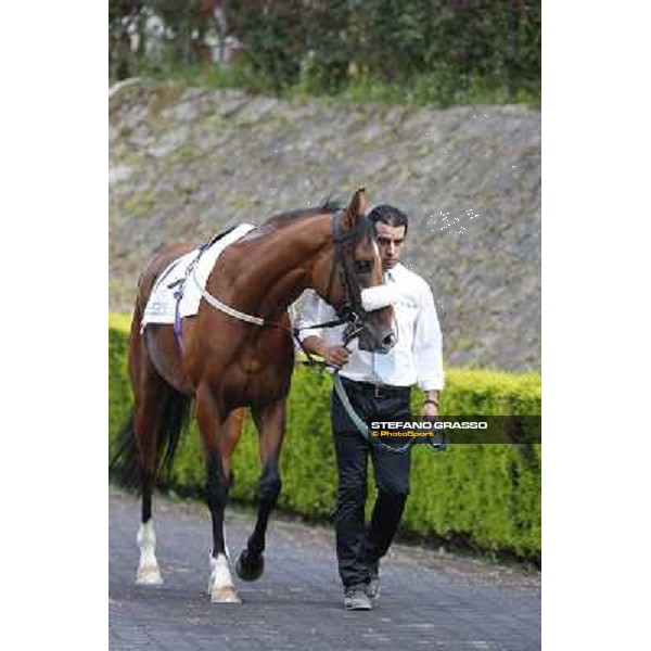 Djordje Perovic on Refuse to Bobbin wins the Premio Presidente della Repubblica GBI Racing Rome, Capannelle racecourse,11th may 2014 photo Stefano Grasso