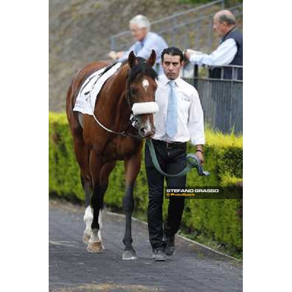 Djordje Perovic on Refuse to Bobbin wins the Premio Presidente della Repubblica GBI Racing Rome, Capannelle racecourse,11th may 2014 photo Stefano Grasso