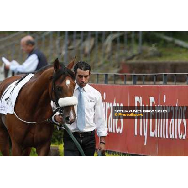Djordje Perovic on Refuse to Bobbin wins the Premio Presidente della Repubblica GBI Racing Rome, Capannelle racecourse,11th may 2014 photo Stefano Grasso